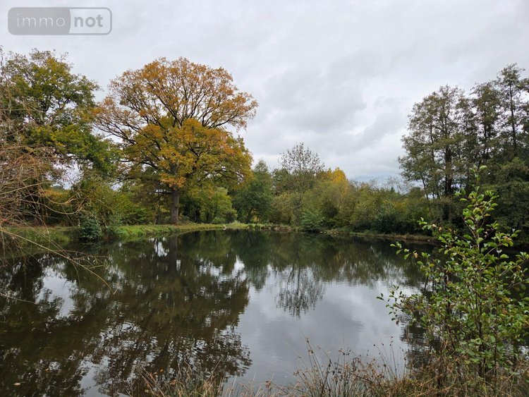 Terrains de loisirs bois etangs a vendre Vimartin sur Orthe 53160 Mayenne 6031 m2  26500 euros
