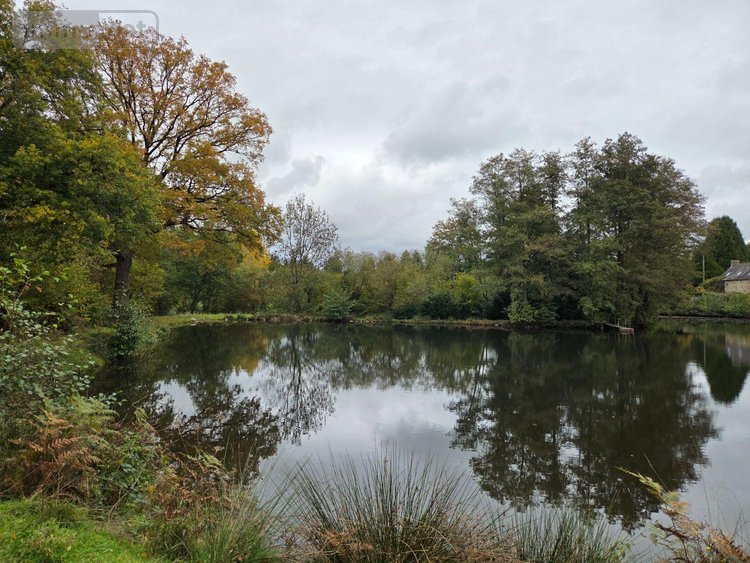 Terrains de loisirs bois etangs a vendre Vimartin sur Orthe 53160 Mayenne 6031 m2  26500 euros