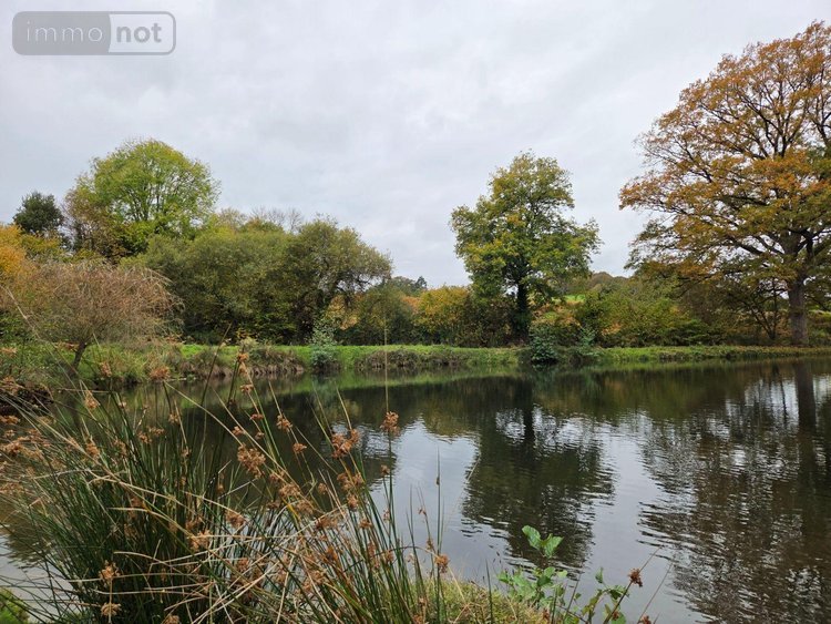Terrains de loisirs bois etangs a vendre Vimartin sur Orthe 53160 Mayenne 6031 m2  26500 euros