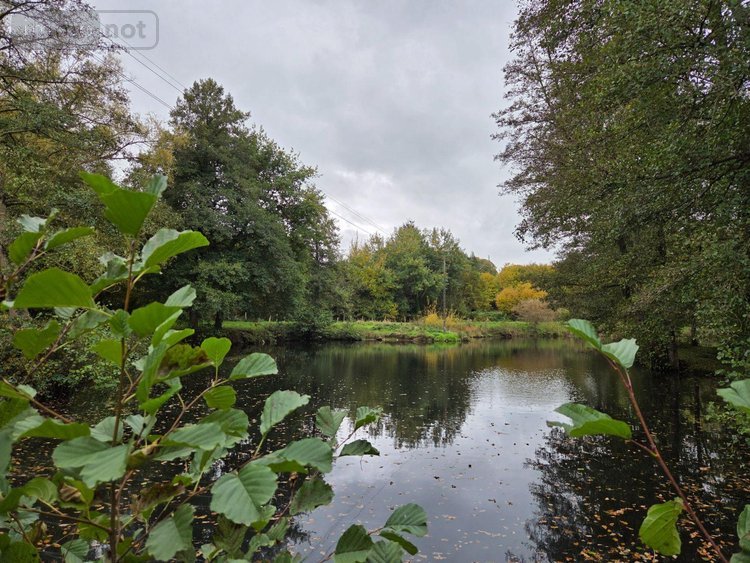 Terrains de loisirs bois etangs a vendre Vimartin sur Orthe 53160 Mayenne 6031 m2  26500 euros