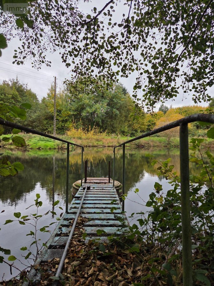 Terrains de loisirs bois etangs a vendre Vimartin sur Orthe 53160 Mayenne 6031 m2  26500 euros