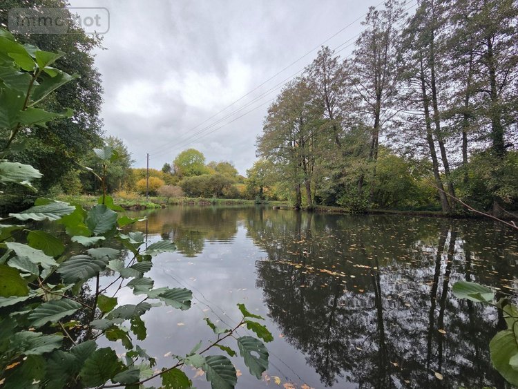 Terrains de loisirs bois etangs a vendre Vimartin sur Orthe 53160 Mayenne 6031 m2  26500 euros