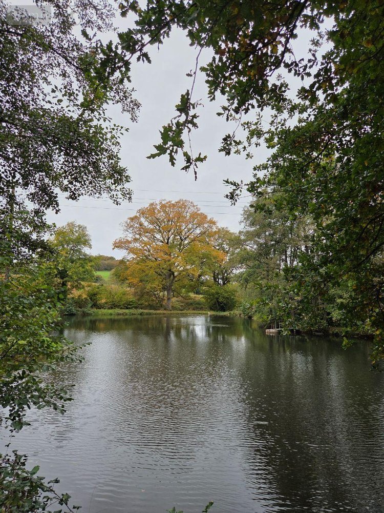 Terrains de loisirs bois etangs a vendre Vimartin sur Orthe 53160 Mayenne 6031 m2  26500 euros