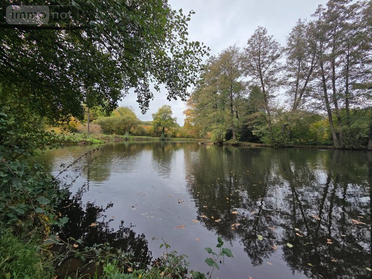 Terrains de loisirs bois etangs a vendre Vimartin sur Orthe 53160 Mayenne 6031 m2  26500 euros