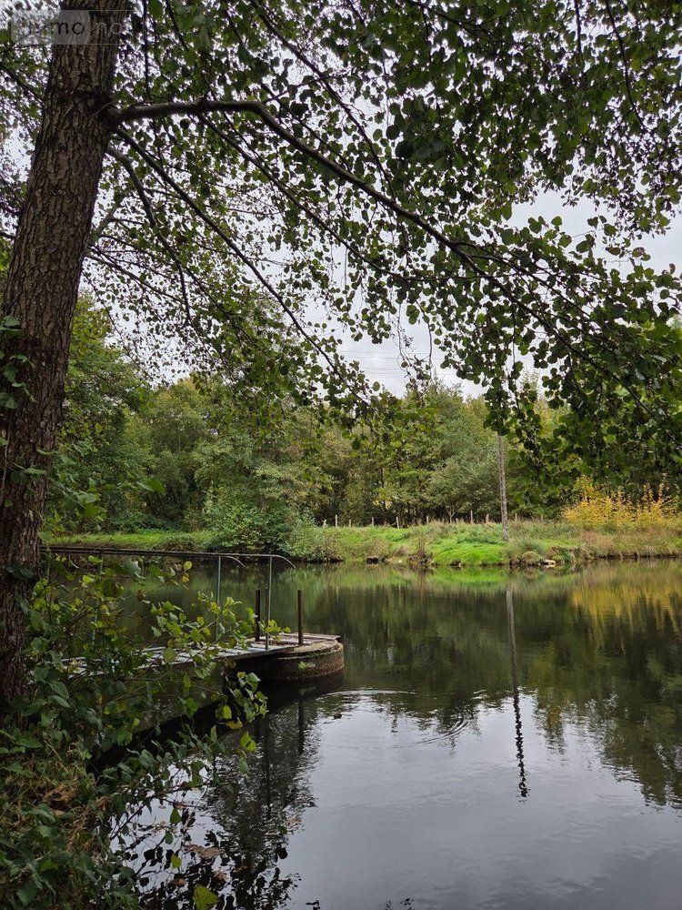 Terrains de loisirs bois etangs a vendre Vimartin sur Orthe 53160 Mayenne 6031 m2  26500 euros
