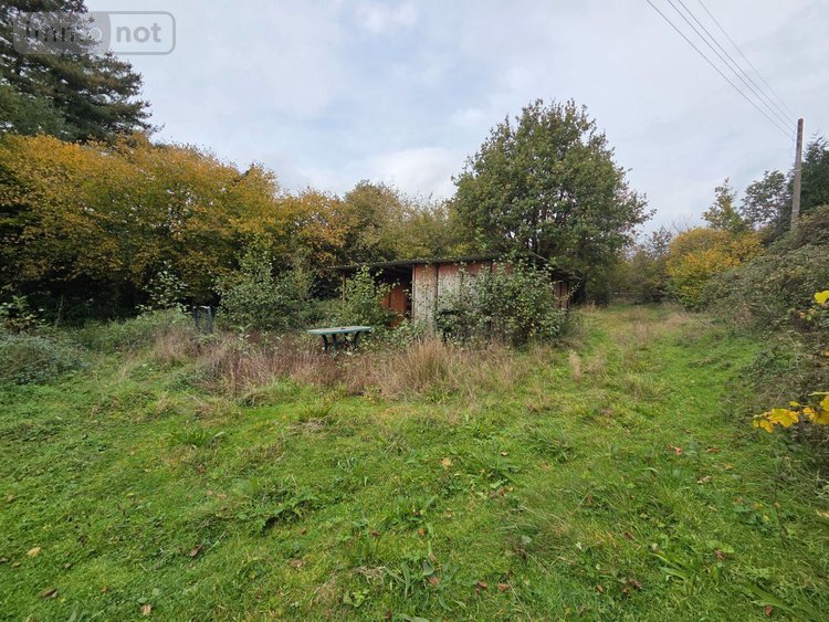Terrains de loisirs bois etangs a vendre Vimartin sur Orthe 53160 Mayenne 6031 m2  26500 euros
