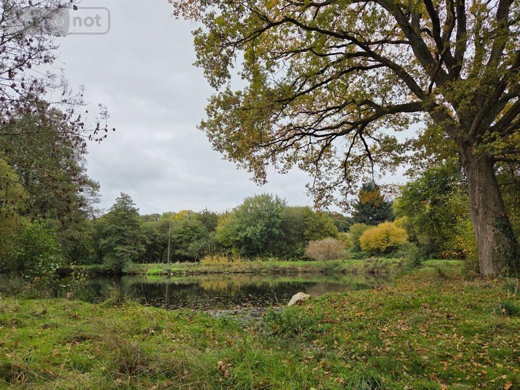 Terrains de loisirs bois etangs a vendre Vimartin sur Orthe 53160 Mayenne 6031 m2  26500 euros
