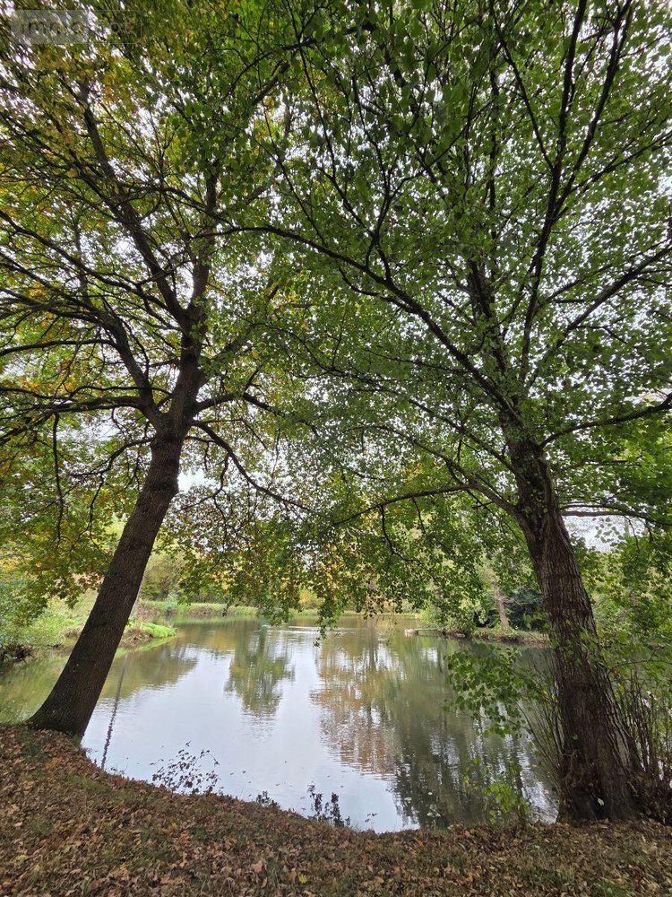 Terrains de loisirs bois etangs a vendre Vimartin sur Orthe 53160 Mayenne 6031 m2  26500 euros