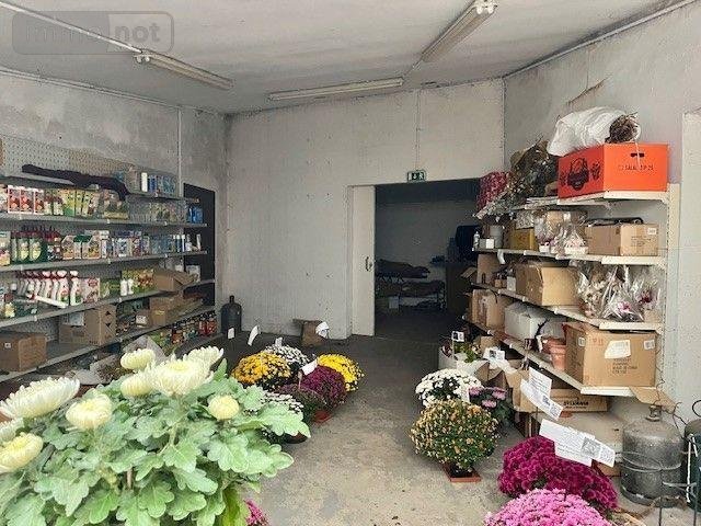 Immeuble a vendre Marolles-les-Braults 72260 Sarthe 438 m2  244500 euros