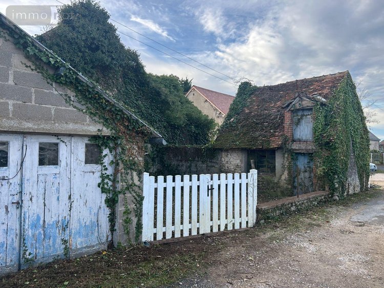 Maison a vendre La Chapelle Saint Martin en Plaine 41500 Loir-et-Cher 54 m2 2 pièces 48500 euros