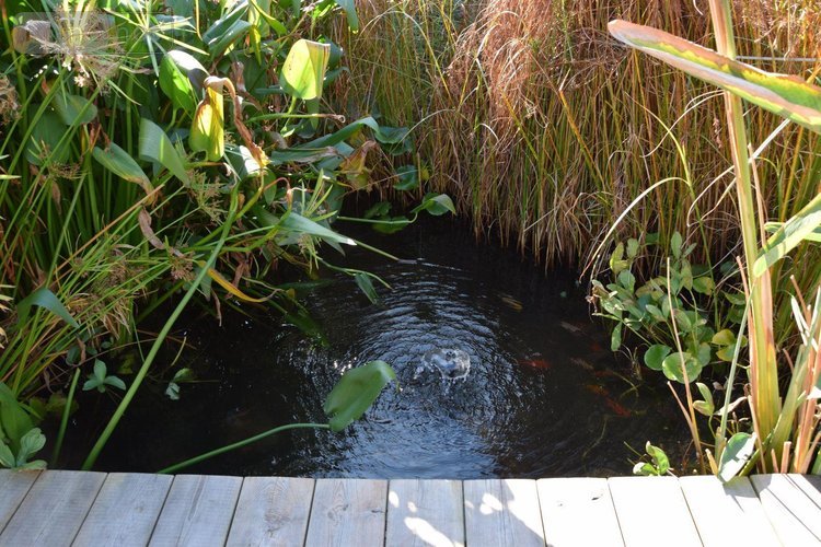 Maison a vendre Trégunc 29910 Finistère 163 m2 6 pièces 969795 euros