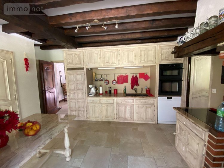 Maison a vendre Châtillon-sur-Indre 36700 Indre 258 m2 9 pièces 1590000 euros