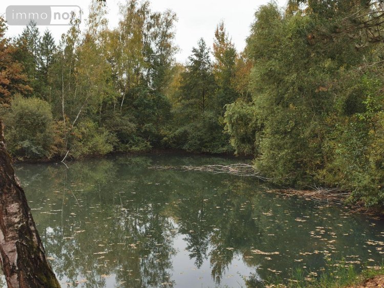 Terrains de loisirs bois etangs a vendre Vailly-sur-Aisne 02370 Aisne 22421 m2  89250 euros
