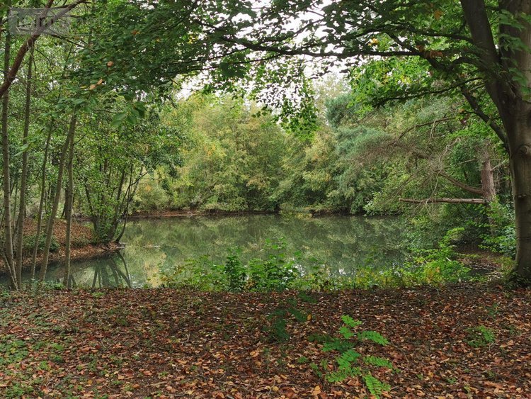 Terrains de loisirs bois etangs a vendre Vailly-sur-Aisne 02370 Aisne 22421 m2  89250 euros