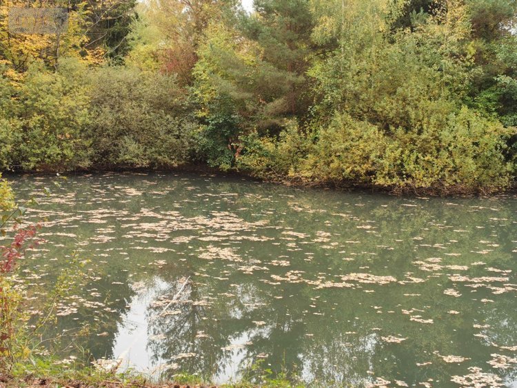 Terrains de loisirs bois etangs a vendre Vailly-sur-Aisne 02370 Aisne 22421 m2  89250 euros