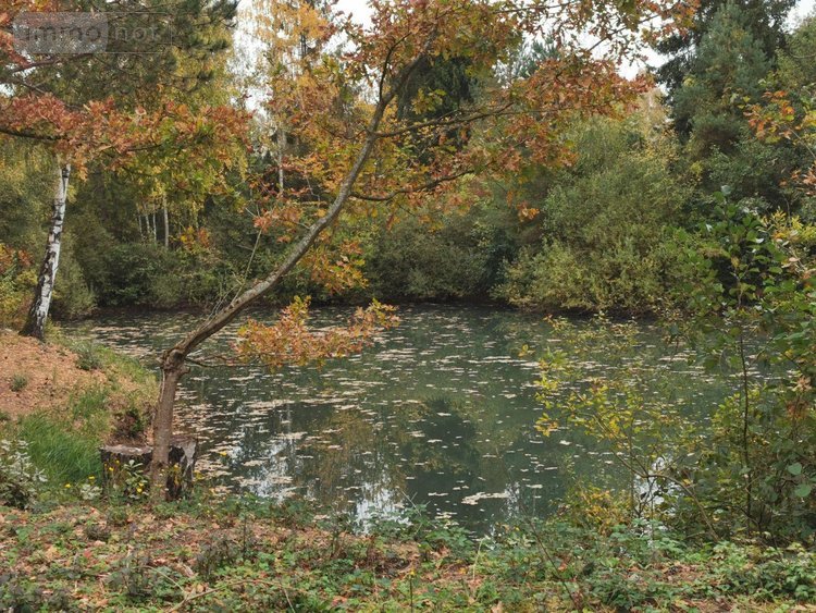 Terrains de loisirs bois etangs a vendre Vailly-sur-Aisne 02370 Aisne 22421 m2  89250 euros
