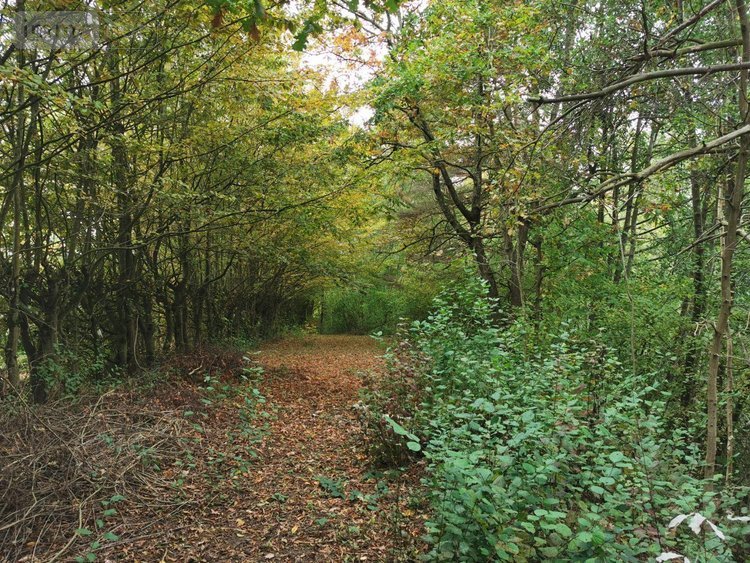 Terrains de loisirs bois etangs a vendre Vailly-sur-Aisne 02370 Aisne 22421 m2  89250 euros