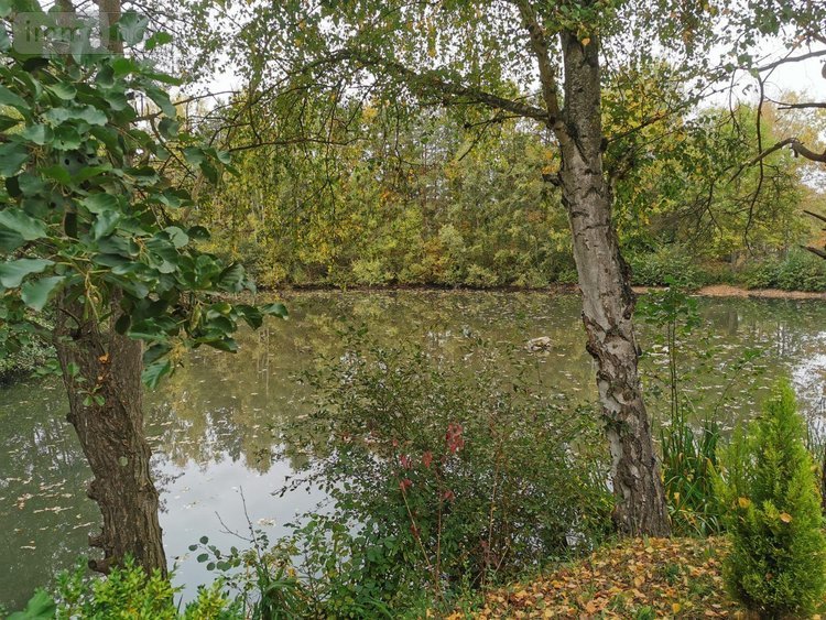 Terrains de loisirs bois etangs a vendre Vailly-sur-Aisne 02370 Aisne 22421 m2  89250 euros