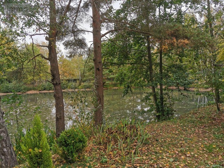 Terrains de loisirs bois etangs a vendre Vailly-sur-Aisne 02370 Aisne 22421 m2  89250 euros