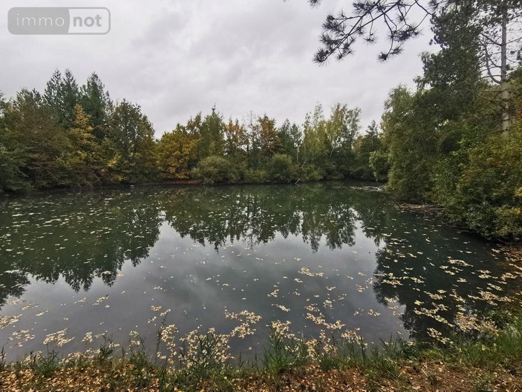 Terrains de loisirs bois etangs a vendre Vailly-sur-Aisne 02370 Aisne 22421 m2  89250 euros