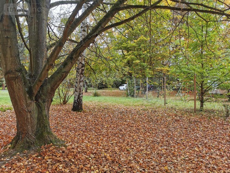 Terrains de loisirs bois etangs a vendre Vailly-sur-Aisne 02370 Aisne 22421 m2  89250 euros