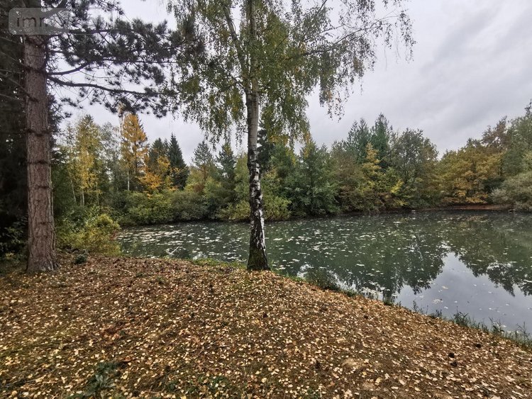 Terrains de loisirs bois etangs a vendre Vailly-sur-Aisne 02370 Aisne 22421 m2  89250 euros