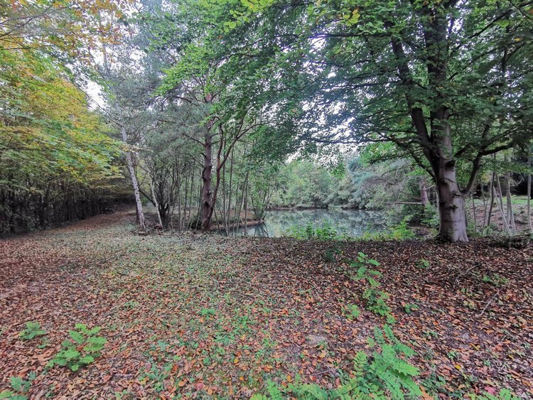 Terrains de loisirs bois etangs a vendre Vailly-sur-Aisne 02370 Aisne 22421 m2  89250 euros