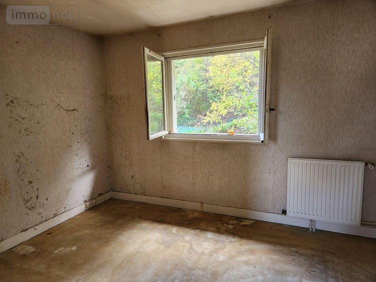 Maison a vendre Ville-sous-la-Ferté 10310 Aube 91 m2 4 pièces 60000 euros