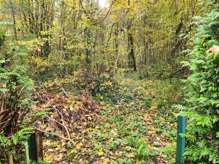 Maison a vendre Ville-sous-la-Ferté 10310 Aube 91 m2 4 pièces 60000 euros