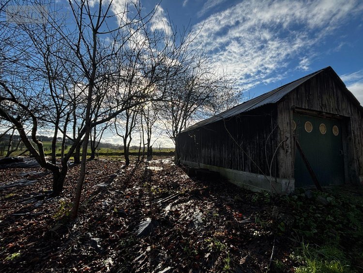 Maison a vendre Luitré-Dompierre 35133 Ille-et-Vilaine 100 m2 1 pièce 57180 euros