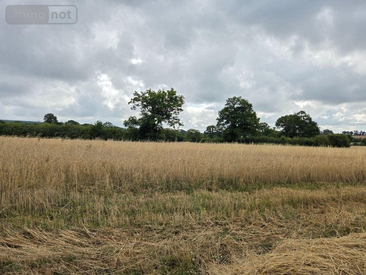 Bien agricole a vendre Villaines-la-Juhel 53700 Mayenne  95111 euros