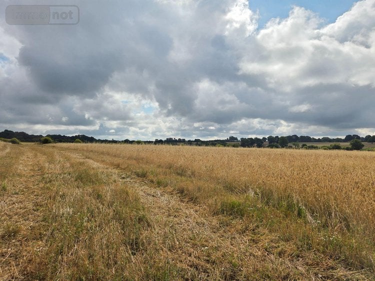 Bien agricole a vendre Villaines-la-Juhel 53700 Mayenne  95111 euros