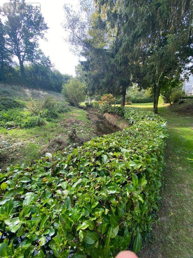 Maison a vendre Chailland 53420 Mayenne 63 m2 4 pièces 91630 euros