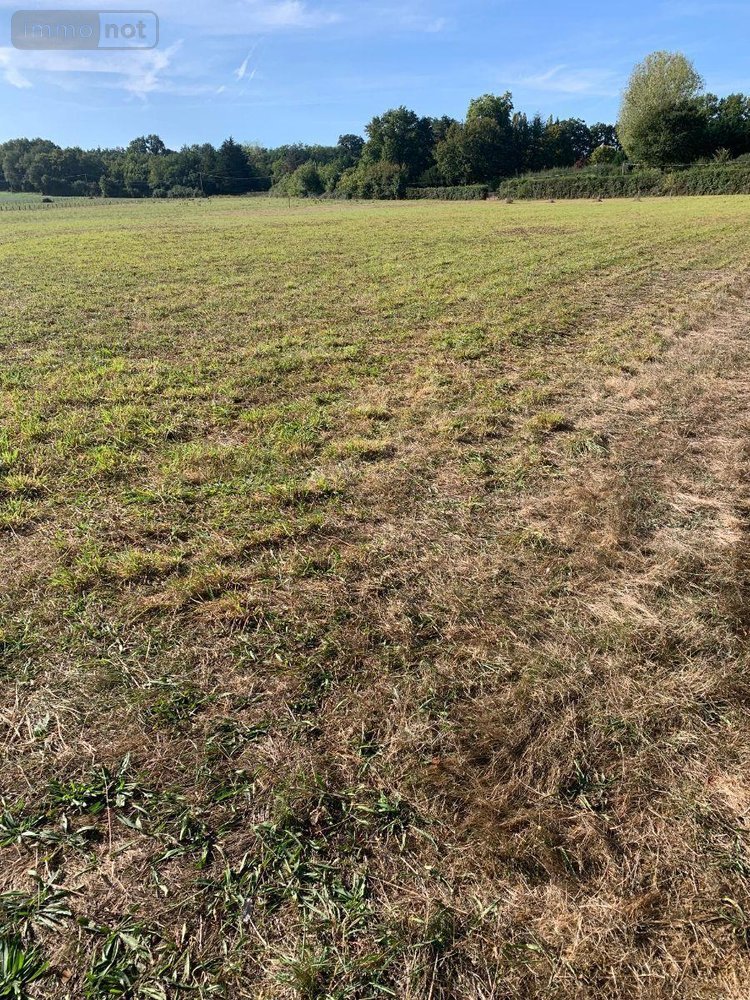 Terrains de loisirs bois etangs a vendre Châtillon-sur-Indre 36700 Indre 15196 m2  27700 euros