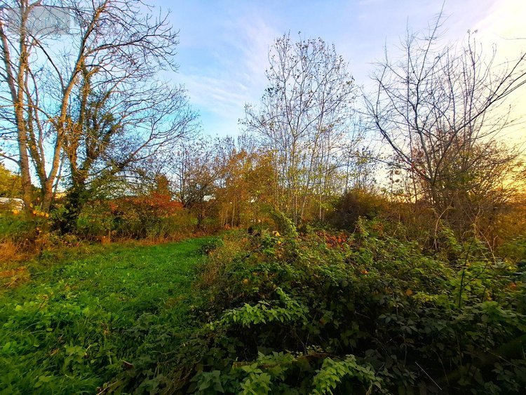 Bien agricole a vendre Égliseneuve-des-Liards 63490 Puy-de-Dôme  34000 euros