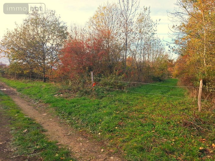 Bien agricole a vendre Égliseneuve-des-Liards 63490 Puy-de-Dôme  34000 euros