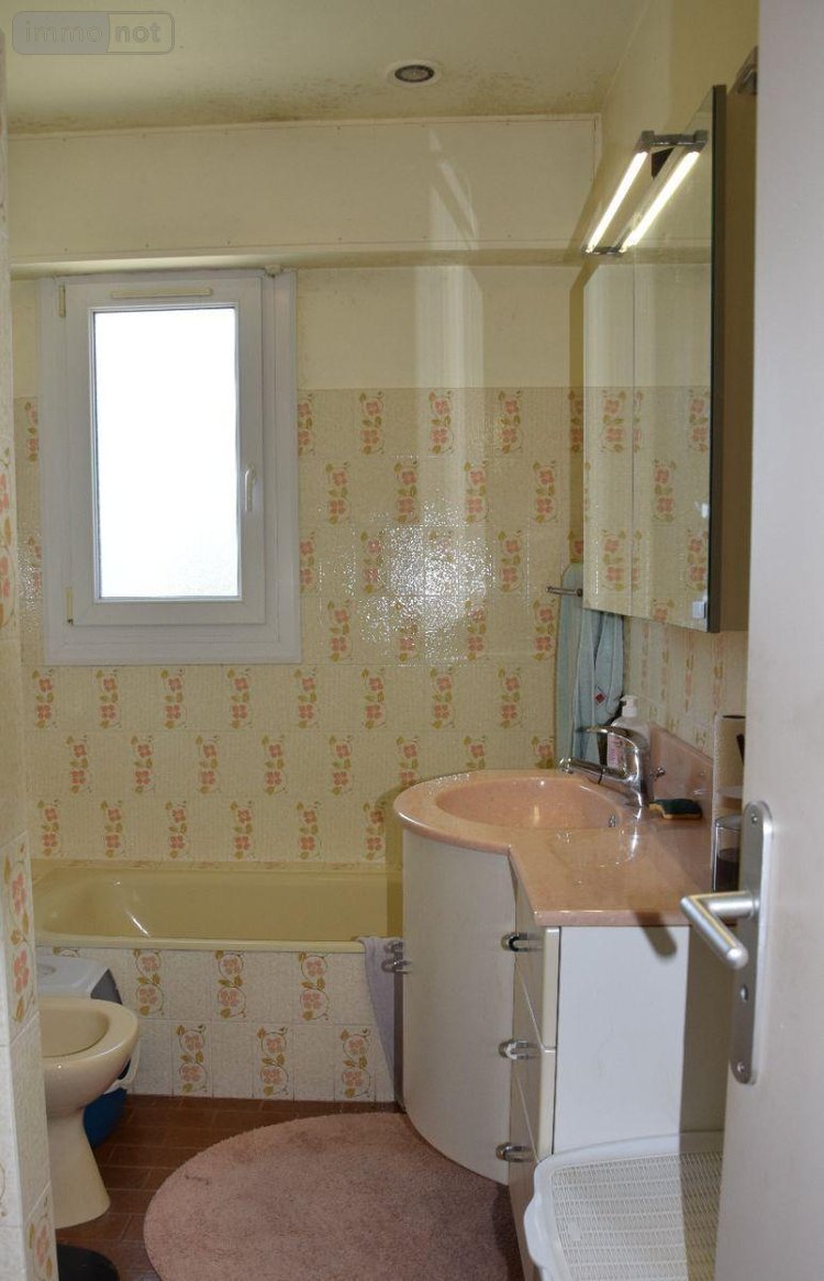 Viager maison Concarneau 29900 Finistère 110 m2 5 pièces 100000 euros