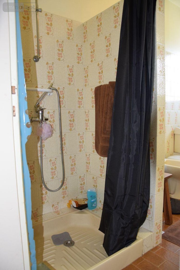 Viager maison Concarneau 29900 Finistère 110 m2 5 pièces 100000 euros