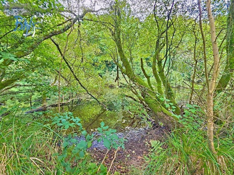 Maison a vendre Quimperlé 29300 Finistère 240 m2 6 pièces 416000 euros