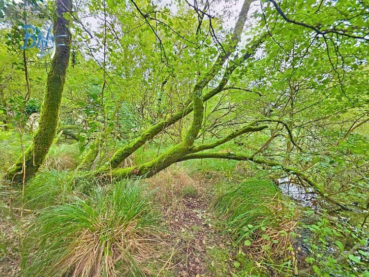 Maison a vendre Mellac 29300 Finistère 240 m2 6 pièces 416000 euros