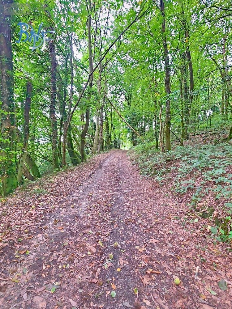 Maison a vendre Mellac 29300 Finistère 240 m2 6 pièces 416000 euros