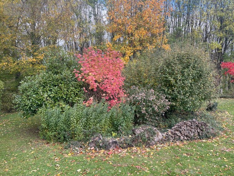 Maison a vendre Pruillé-l'Éguillé 72150 Sarthe 186 m2 7 pièces 294000 euros