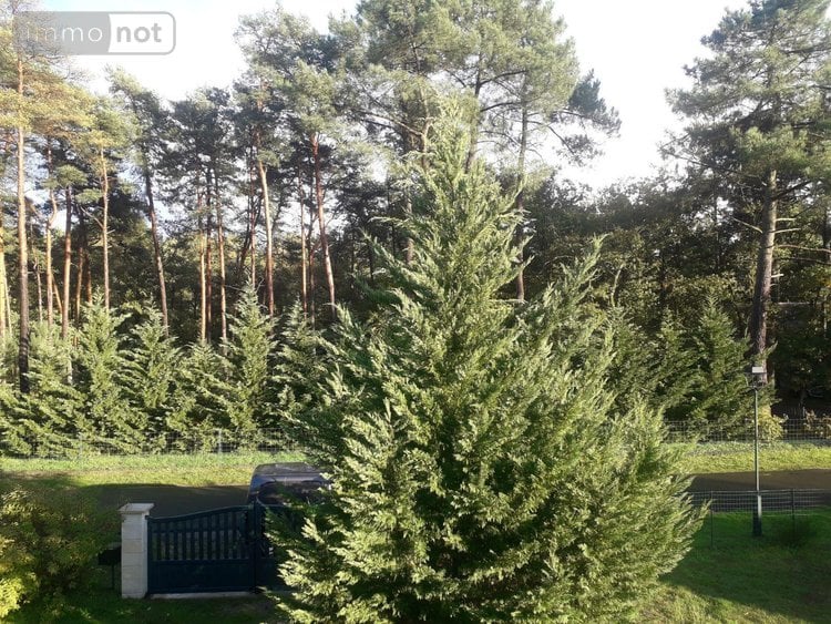 Maison a vendre Soings-en-Sologne 41230 Loir-et-Cher 254 m2 6 pièces 245200 euros