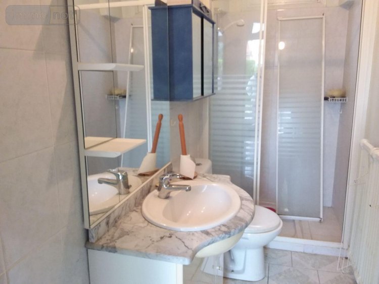 Maison a vendre Le Controis-en-Sologne 41700 Loir-et-Cher 57 m2 3 pièces 109240 euros