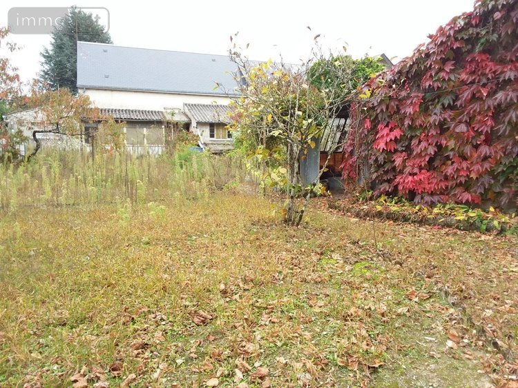 Maison a vendre Le Controis-en-Sologne 41700 Loir-et-Cher 57 m2 3 pièces 109240 euros