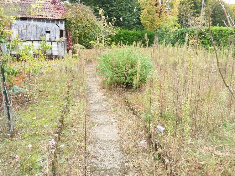 Maison a vendre Le Controis-en-Sologne 41700 Loir-et-Cher 57 m2 3 pièces 109240 euros