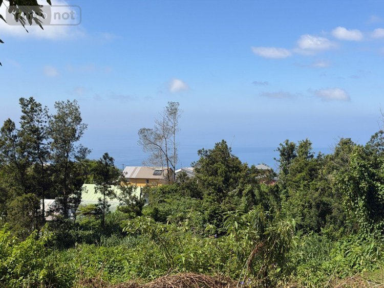 Terrain a batir a vendre Les Avirons 97425 Réunion 1507 m2  118100 euros