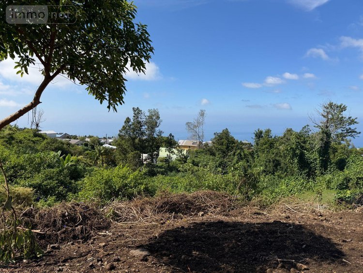 Terrain a batir a vendre Les Avirons 97425 Réunion 1507 m2  118100 euros