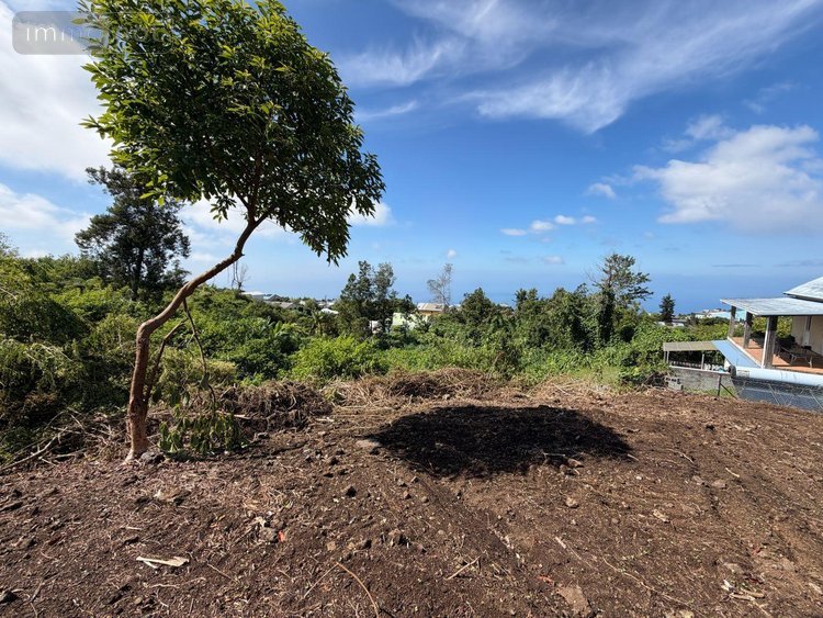 Terrain a batir a vendre Les Avirons 97425 Réunion 1507 m2  118100 euros