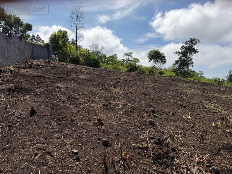 Terrain a batir a vendre Les Avirons 97425 Réunion 1507 m2  118100 euros